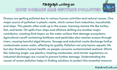 Paragraph on How Oceans Are Getting Polluted