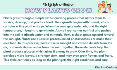 Paragraph on How Plants Grow