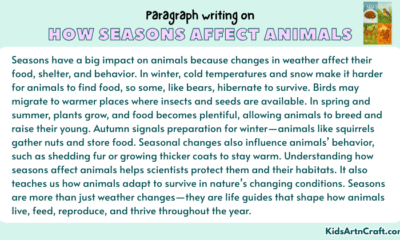 Paragraph on How Seasons Affect Animals