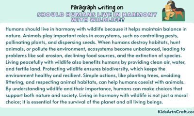 Paragraph on Should Humans Live In Harmony With Wildlife?