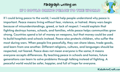 Paragraph on If I Could Bring Peace to the World