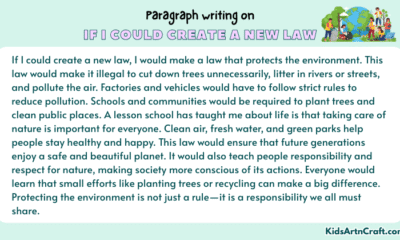 Paragraph on If I Could Create a New Law