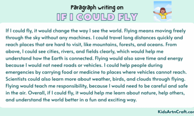 Paragraph on If I Could Fly