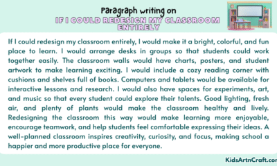 Paragraph on If I Could Redesign My Classroom Entirely
