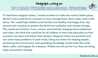 Paragraph on If I Had Three Magical Wishes