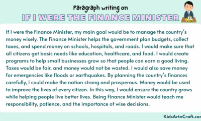 Paragraph on If I Were the Finance Minister
