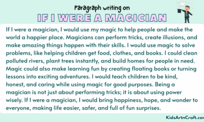 Paragraph on If I Were a Magician