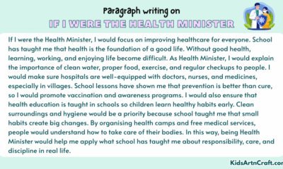 Paragraph on If I Were the Health Minister