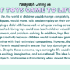 Paragraph on If Toys Came to Life