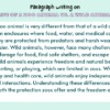 Paragraph on Life of a Zoo Animal vs. a Wild Animal