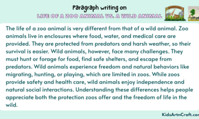 Paragraph on Life of a Zoo Animal vs. a Wild Animal