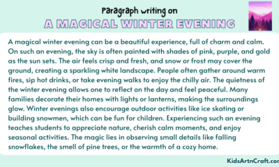 Paragraph on A Magical Winter Evening