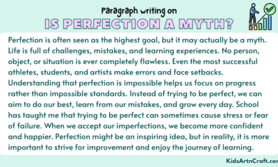 Paragraph on Is Perfection a Myth?