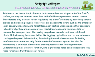 Paragraph on Rainforests — Treasures of Nature