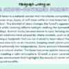 Paragraph on A Snow-Covered Forest