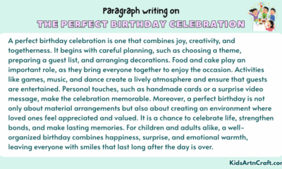 Paragraph on The Perfect Birthday Celebration