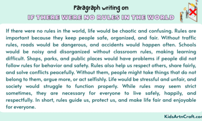 Paragraph on If There Were No Rules in the World