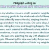 Paragraph on The View from My Window