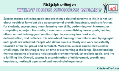 Paragraph on What Does Success Mean?