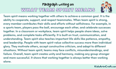 Paragraph on What Team Spirit Means