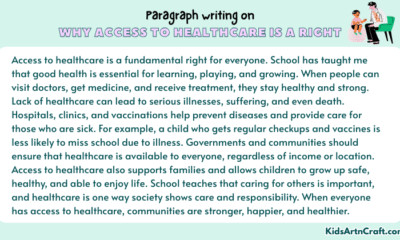 Paragraph on Why Access To Healthcare Is A Right