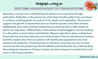 Paragraph on Why Bees Are Important to the Ecosystem