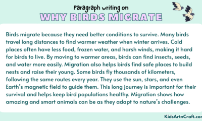 Paragraph on Why Birds Migrate
