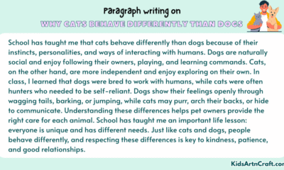 Paragraph on Why Cats Behave Differently Than Dogs