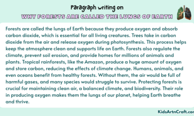 Paragraph on Why Forests Are Called The Lungs Of Earth