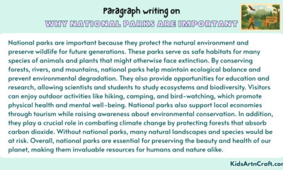 Paragraph on Why National Parks Are Important
