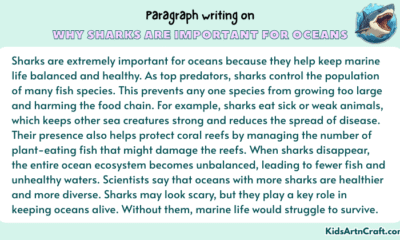 Paragraph on Why Sharks Are Important For Oceans