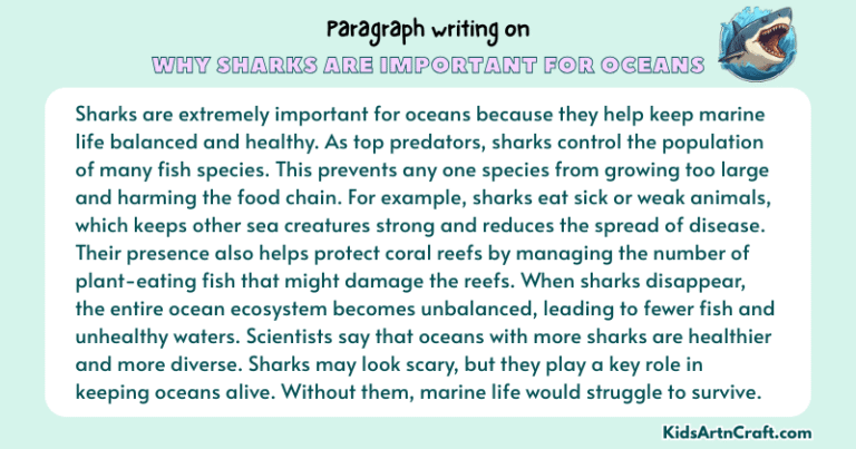 Paragraph on Why Sharks Are Important For Oceans - Kids Art & Craft