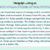Paragraph on Why Solar Power Is The Future
