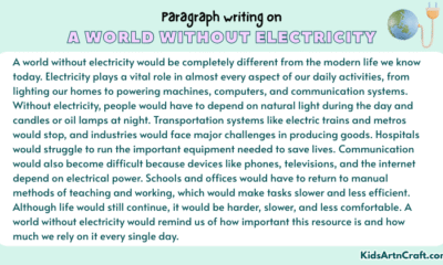 Paragraph on A World Without Electricity