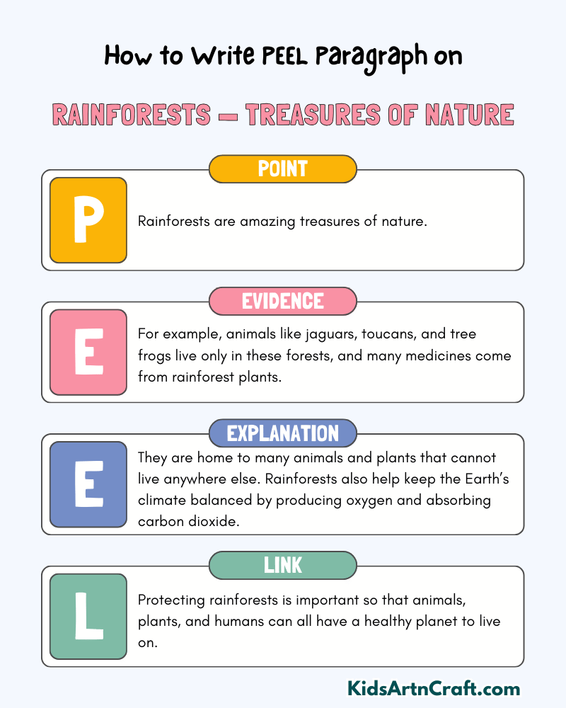 Rainforests — Treasures of Nature Paragraph Writing with PEEL Method