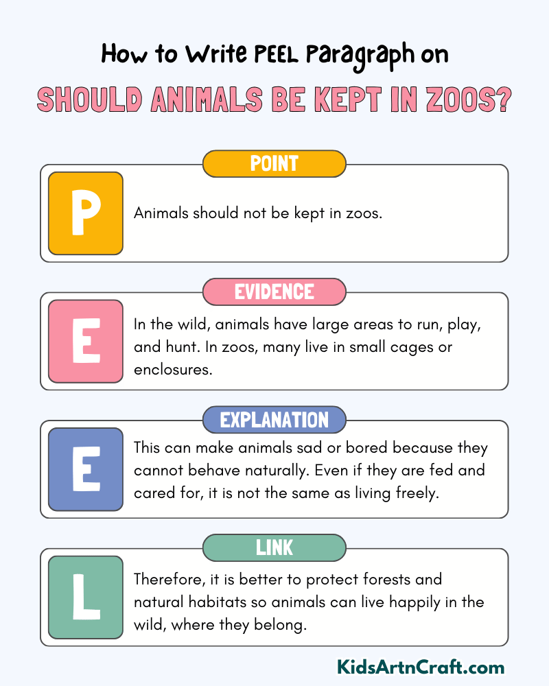 Should Animals Be Kept in Zoos? Paragraph Writing with PEEL Method