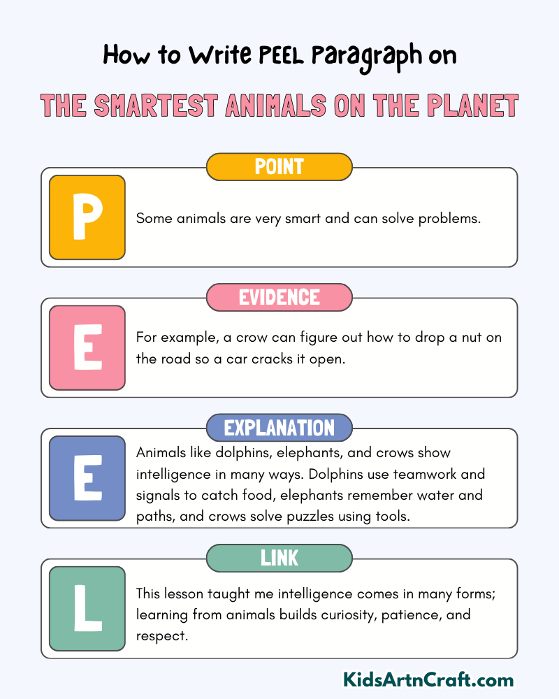 The Smartest Animals On The Planet Paragraph Writing with PEEL Method