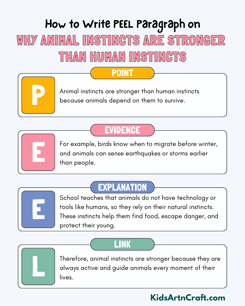 Why Animal Instincts Are Stronger Than Human Instincts Paragraph Writing with PEEL Method