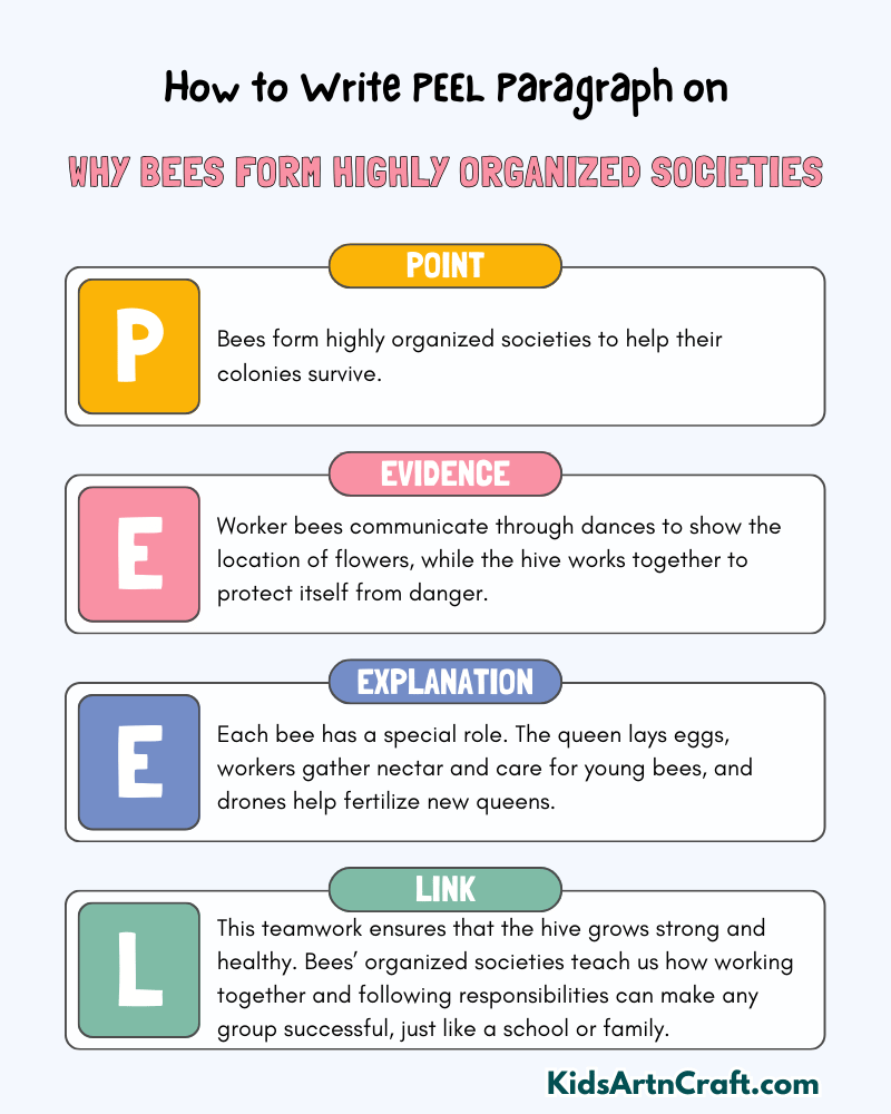 Why Bees Form Highly Organized Societies Paragraph Writing with PEEL Method