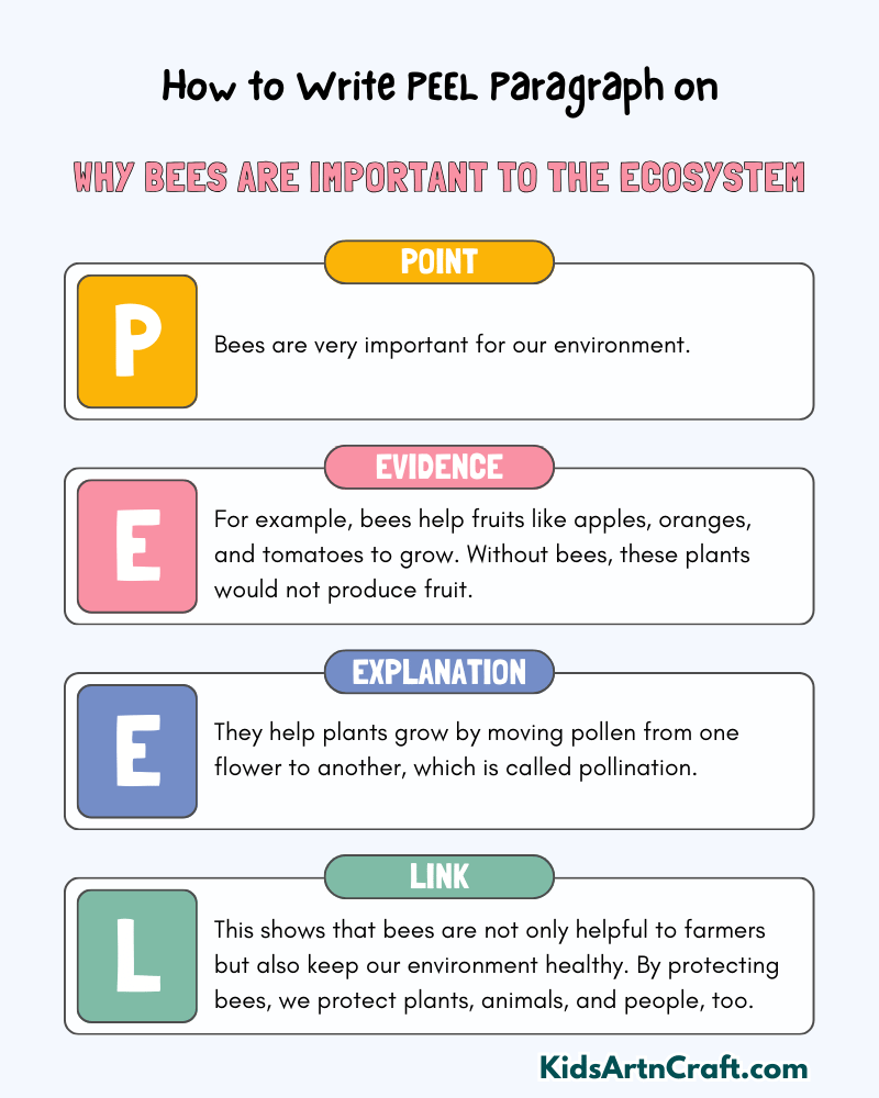 Why Bees Are Important to the Ecosystem Paragraph Writing with PEEL Method