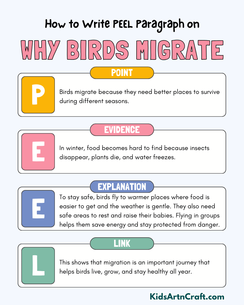 Why Birds Migrate Paragraph Writing with PEEL Method