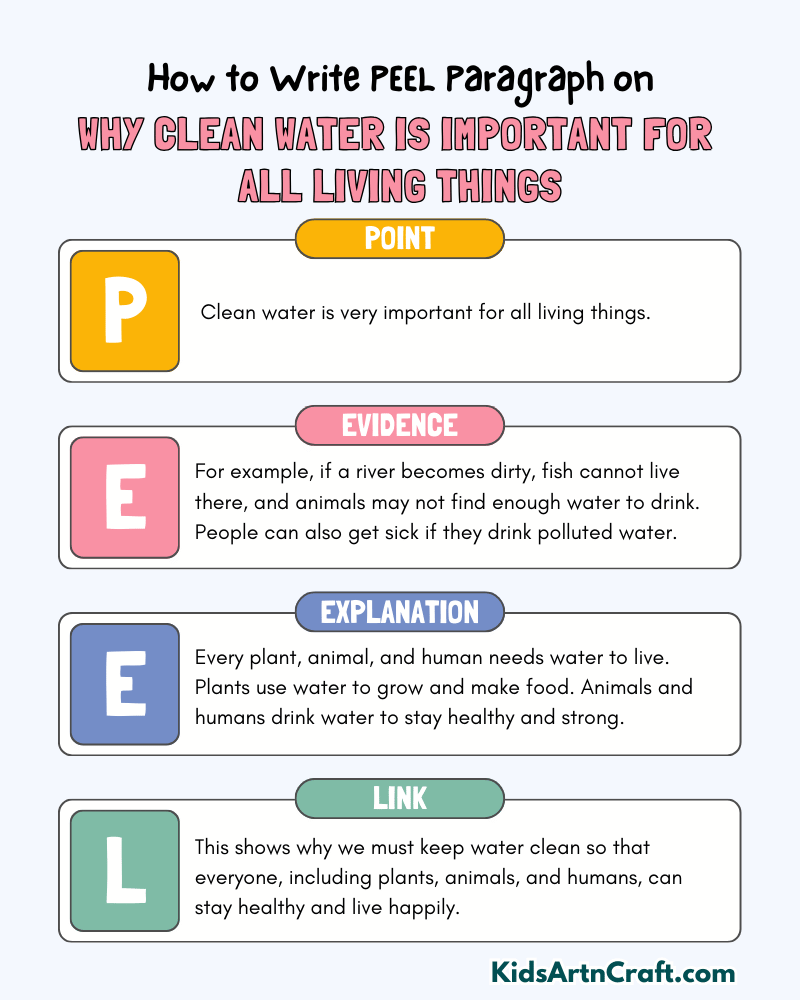 Why Clean Water Is Important for All Living Things Paragraph Writing with PEEL Method