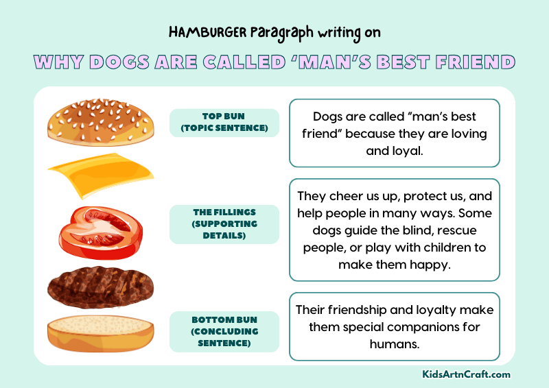 Why dogs are called ‘man’s best friend Paragraph Writing with Hamburger Method