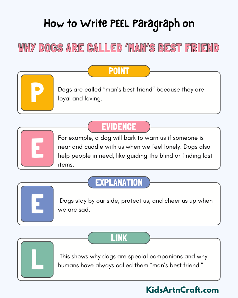 Why dogs are called ‘man’s best friend Paragraph Writing with PEEL Method