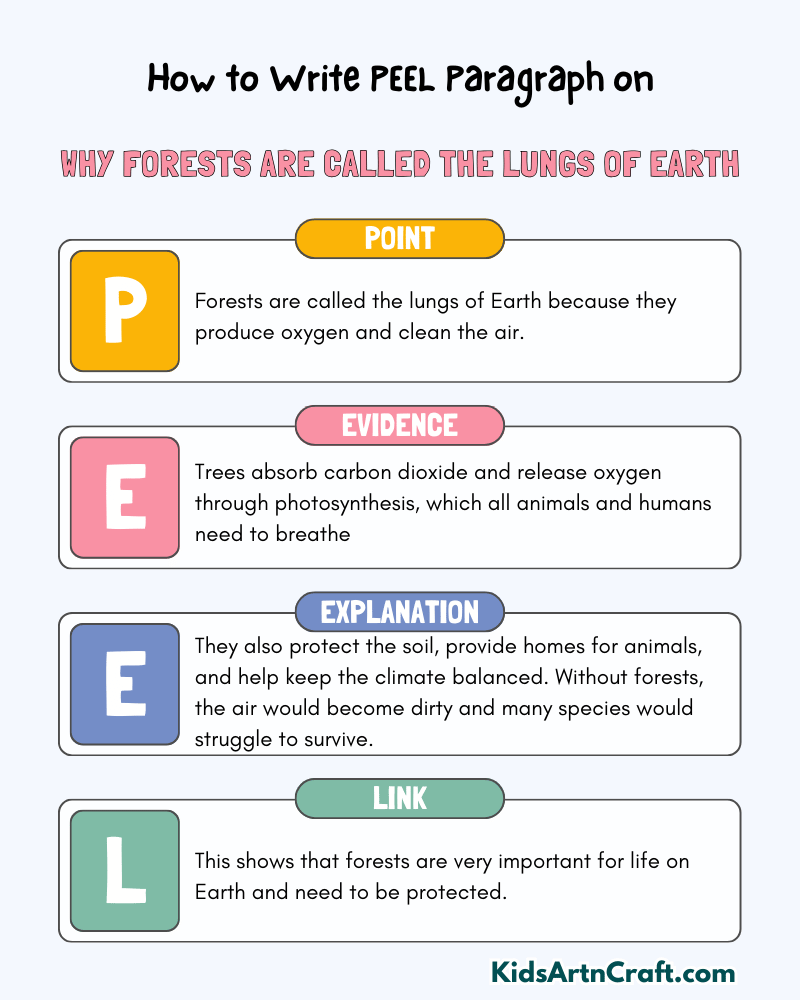 Why Forests Are Called The Lungs Of Earth Paragraph Writing with PEEL Method