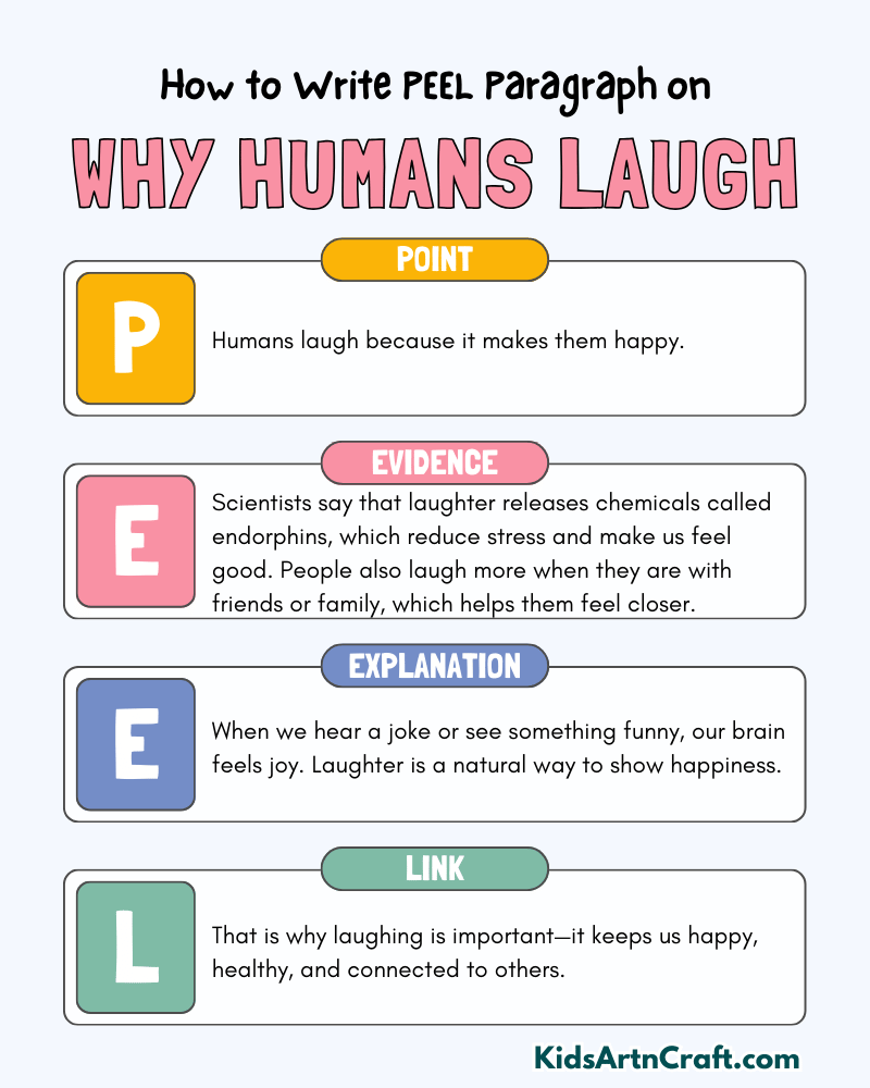 Why Humans Laugh Paragraph Writing with PEEL Method