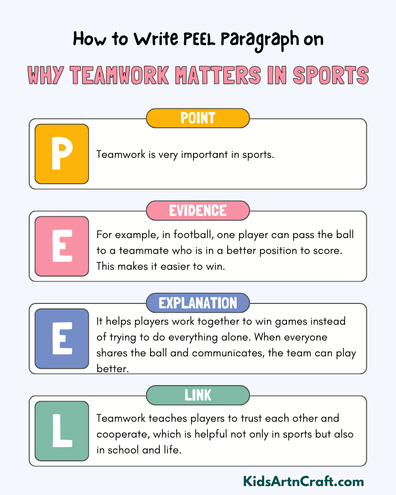 Why Teamwork Matters in Sport Paragraph Writing with PEEL Method