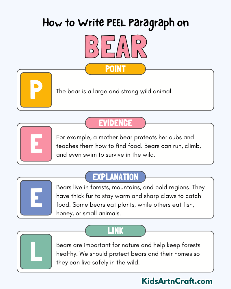 Bear Paragraph Writing with PEEL Method