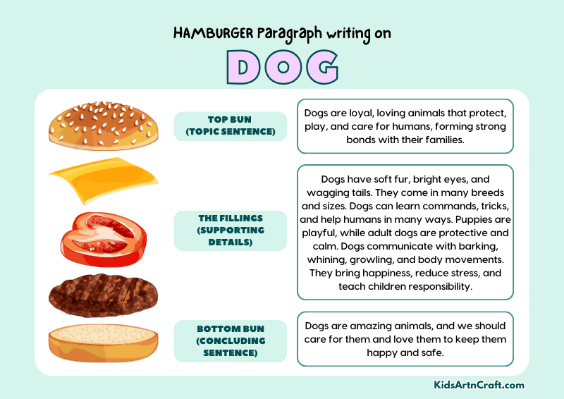 Dog Paragraph Writing with Hamburger Method