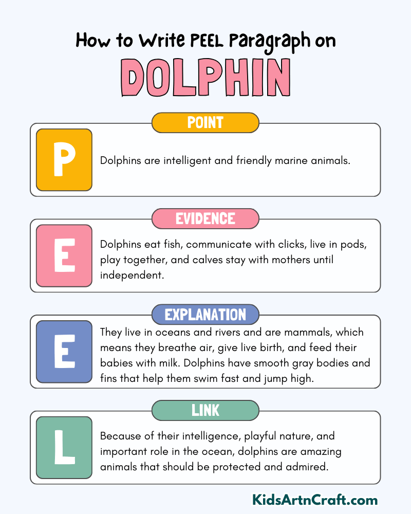 Dolphin Paragraph Writing with PEEL Method